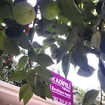 Kadifeli & 3* Kocaeli
