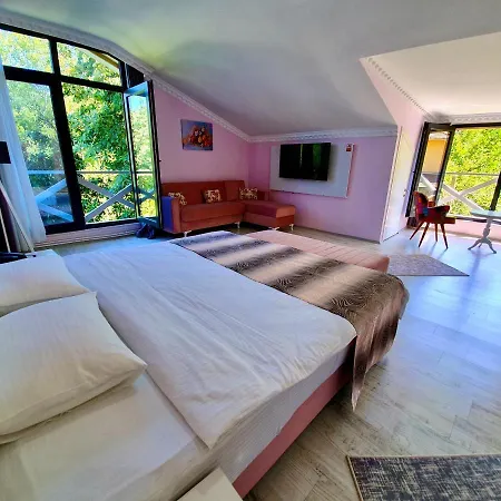 Hotel Kadifeli & 3*
