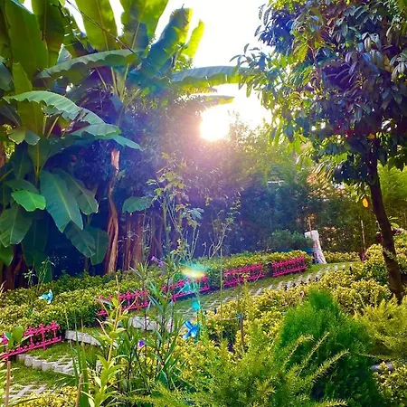 Kadifeli & 3* Коджаэли