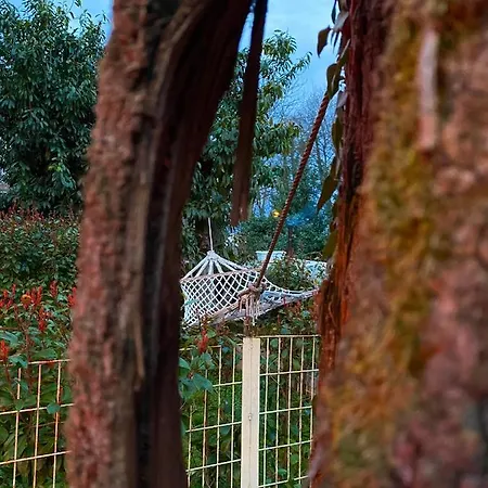 Kadifeli & Hotel Kocaeli