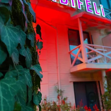 Kadifeli & Hotel 3*