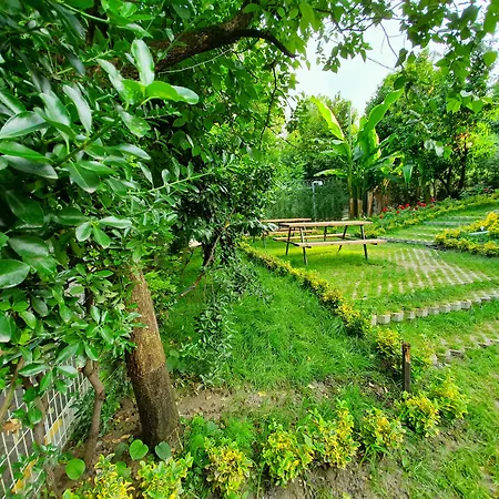 Отель Kadifeli & Коджаэли