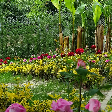 Kadifeli & Отель Коджаэли