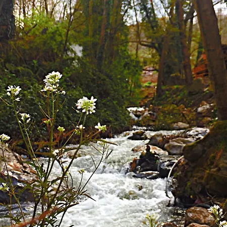Kadifeli & Коджаэли