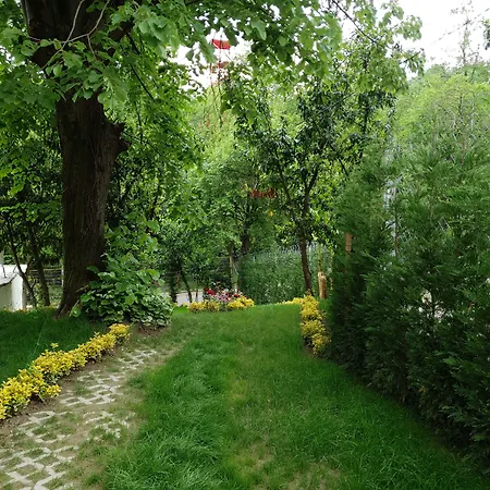 Hotel Kadifeli & 3*