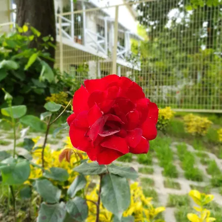 Kadifeli & Отель Коджаэли