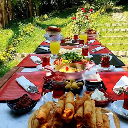 Kadifeli & 3* Kocaeli