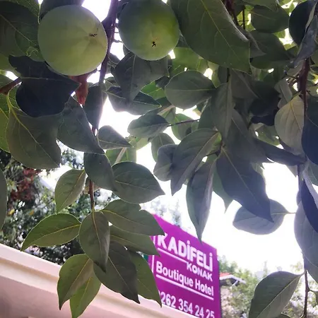 Kadifeli & 3* Коджаэли